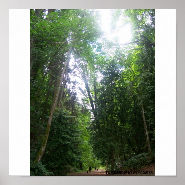 Poster Balade Dans Les Bois (Devant)