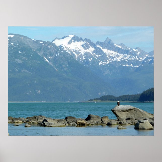 Poster Bald Eagle à Skagway Alaska (Devant)