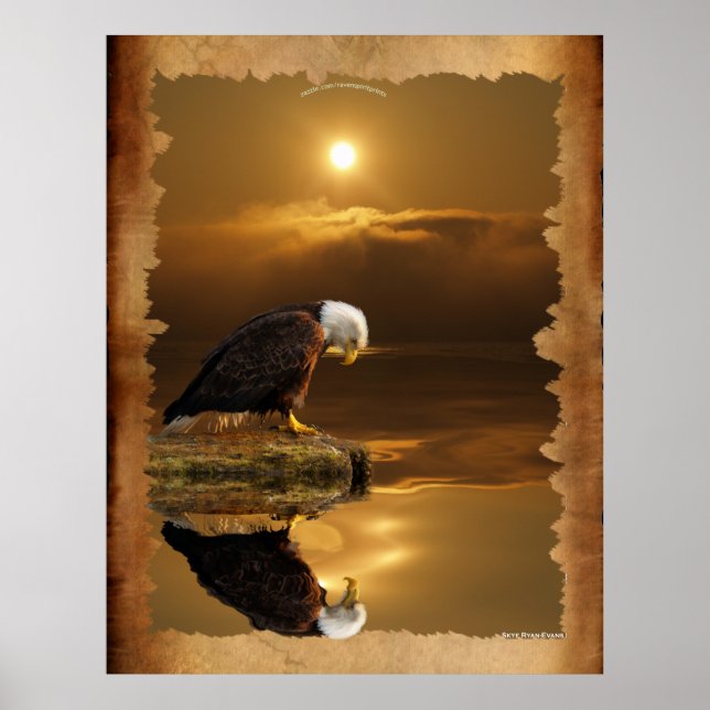 Poster Bald Eagle au coucher du soleil Série de Gratitude (Devant)