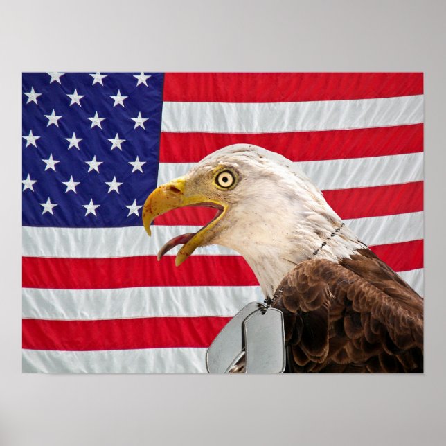 Poster Bald Eagle avec des étiquettes de chien militaire (Devant)