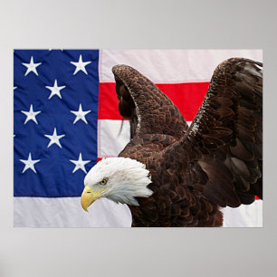 Poster Bald Eagle avec le drapeau américain