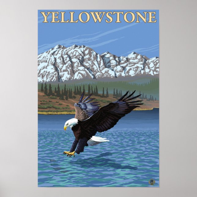 Poster Bald Eagle Diving - Parc national de Yellowstone (Devant)