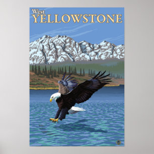 Poster Bald Eagle Diving - West Yellowstone, MT