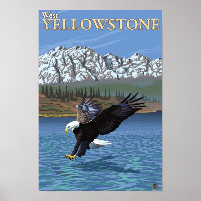 Poster Bald Eagle Diving - West Yellowstone, MT (Devant)