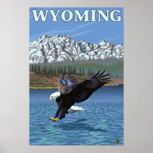 Poster Bald Eagle Diving - Wyoming