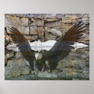 Poster Bald Eagle Rock Mur Réflexions Dans L'Eau