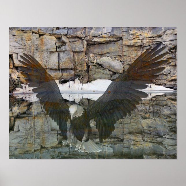 Poster Bald Eagle Rock Mur Réflexions Dans L'Eau (Devant)