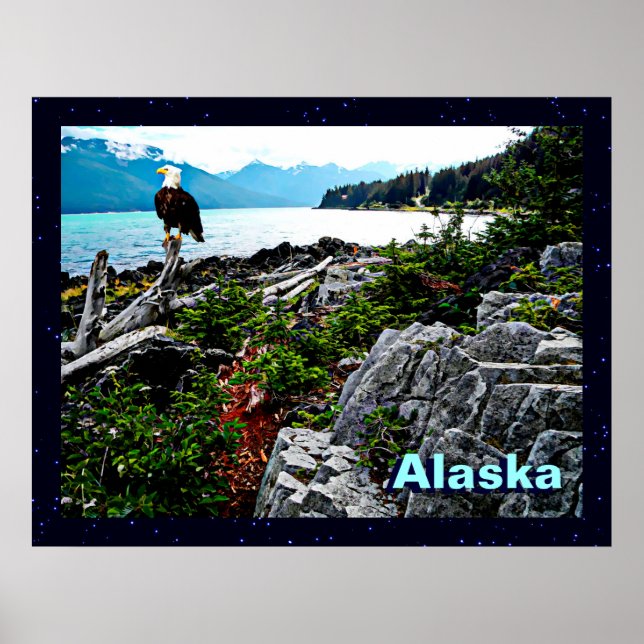 Poster Bald Eagle Sur La Côte De L'Alaska (Devant)
