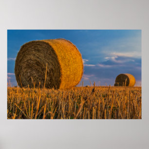 Poster Bale de foin