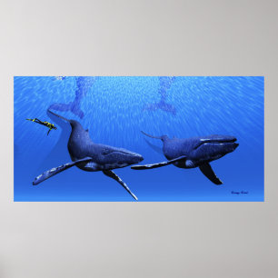 Poster Baleine 01 Imprimer