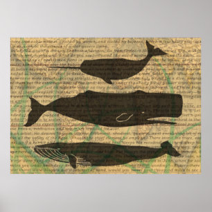 Poster Baleine antique Vie marine