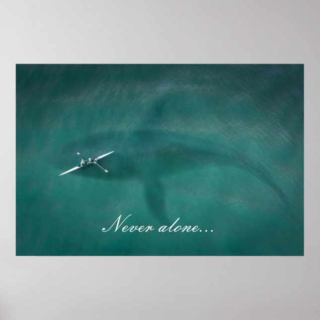 Poster Baleine sous le bateau : jamais seule en mer (Devant)