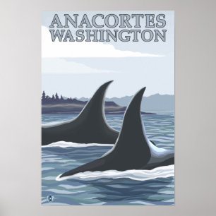 Poster Baleines #1 - Anacortes, Washington d'orque