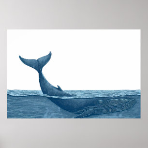 Poster Baleines dans l'océan