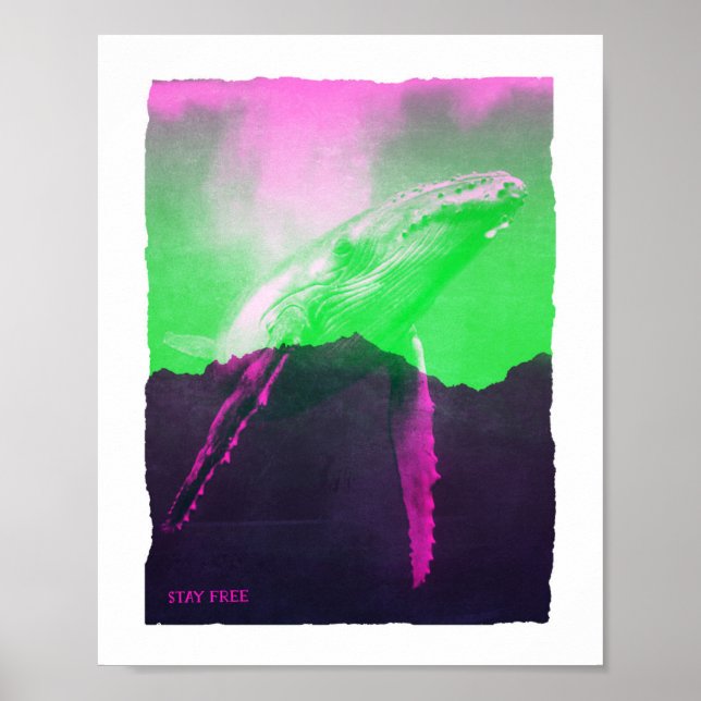 Poster Baleines Rester Gratuit (Devant)