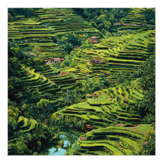 Poster Bali Indonésie Rizières Vertes Vibrantes Vintage
