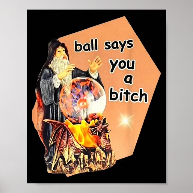 Poster Ball Says You A Btch Meme  (Devant)