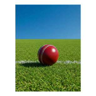 Poster Balle de cricket sur la marque de limite
