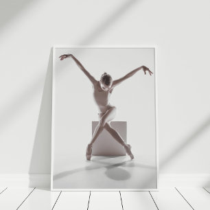 Poster Ballerina Dancer Art Moderne De La Photographie