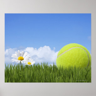Poster Balles de tennis