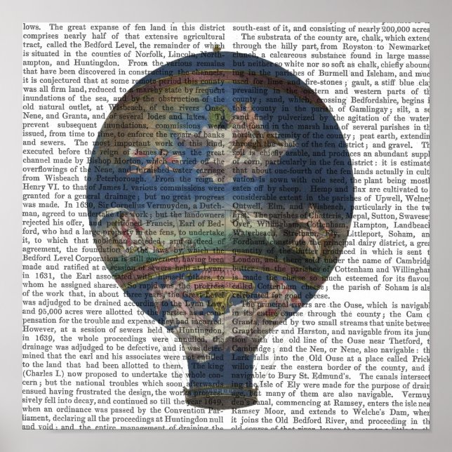 Poster Ballon à air chaud de la machine Solaire (Devant)