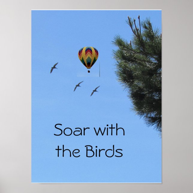 Poster - Ballon à air chaud et oiseaux (Devant)