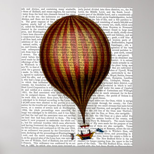 Poster Ballon Royal Nassau à air chaud (Devant)