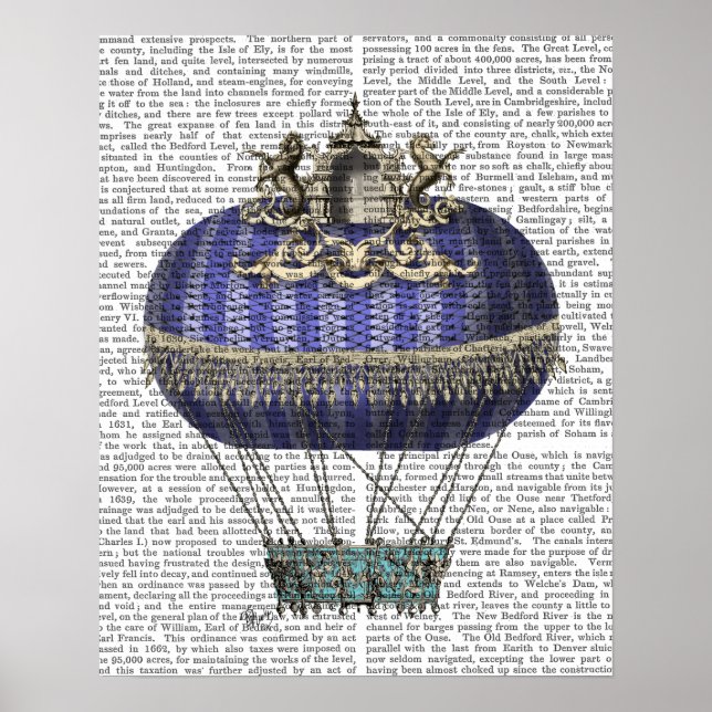 Poster Balloon d'Imaginaire baroque (Devant)