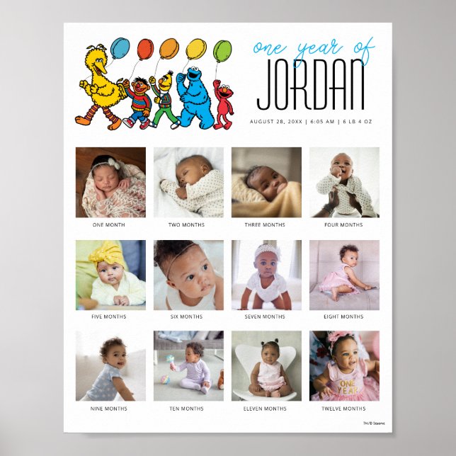 Poster Balloons Sesame Street Pals Une année de 12 mois (Devant)