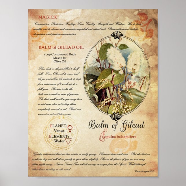 POSTER BALM DE GILEAD (Devant)