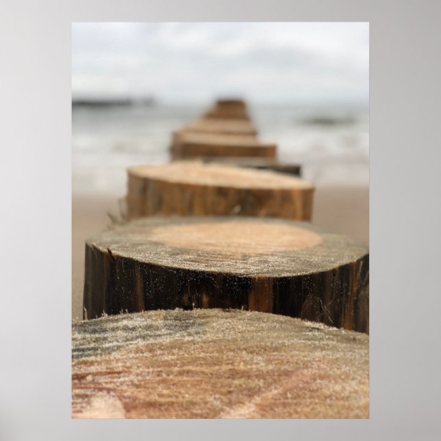 Poster Balnéaire (Devant)