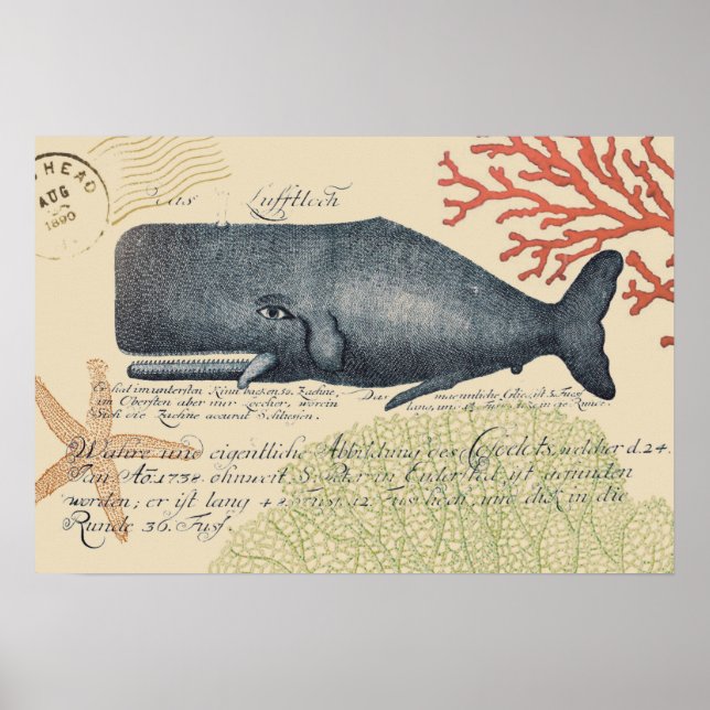 Poster Balnéaire Blue Whale Collage (Devant)