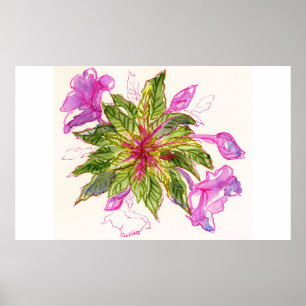 Poster Balsam Bouquet