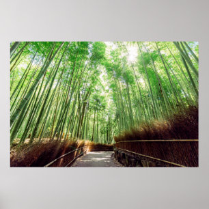 Poster Bamboo Grove   Arashiyama, Kyoto, Japon