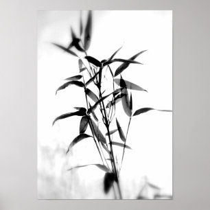 Poster Bamboo Sillouette
