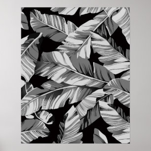 Poster Banane Feuille 3