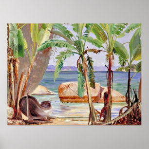Poster Bananes et rochers à Paqueta, Brésil,