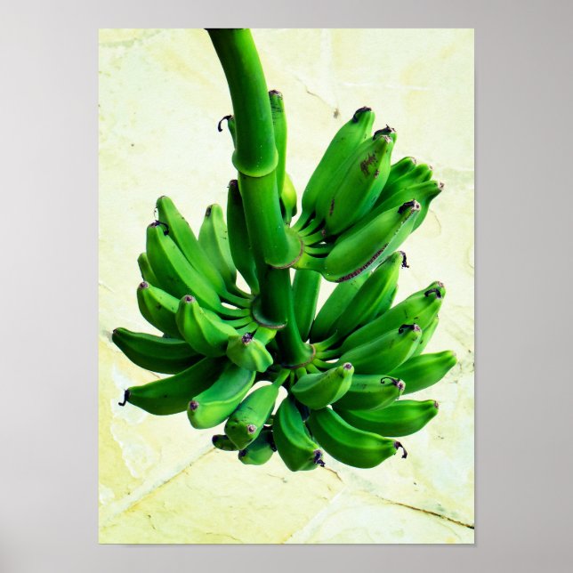 Poster Bananes vertes (Devant)