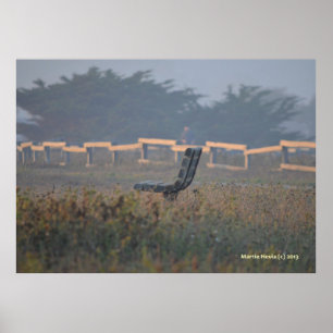 Poster Banc avec vue