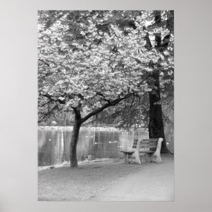 Poster Banc de parc