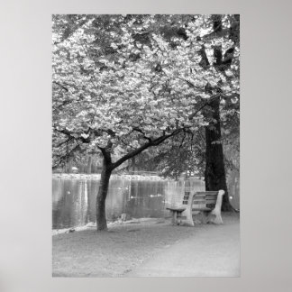 Poster Banc de parc