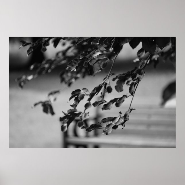 Poster Banc de parc (Devant)