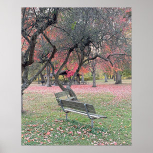 Poster Banc de parc à l'affiche d'automne