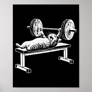 Poster Banc de presse de chat drôle salle de sport chat m