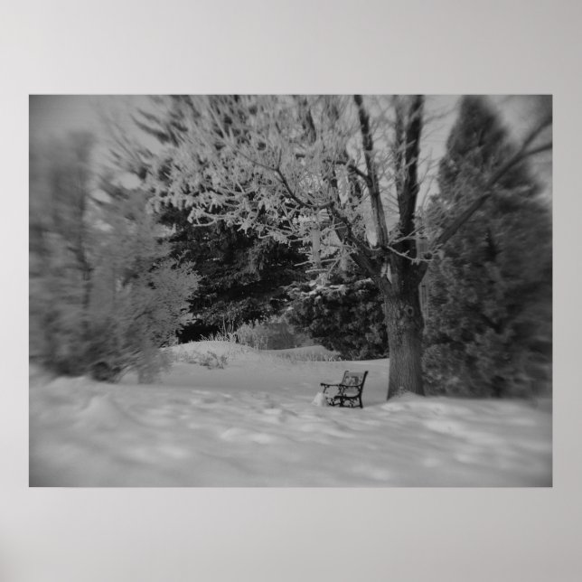 Poster Banc du parc d'hiver noir et blanc Imprimer (Devant)