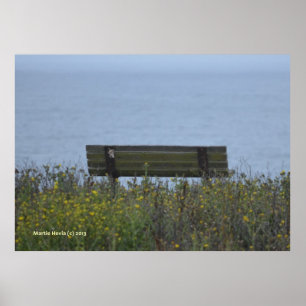 Poster Banc Océanique