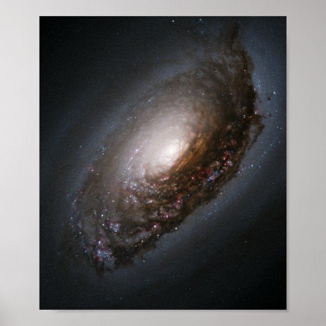 Poster Bande de poussière autour du noyau de la Galaxie d (Devant)