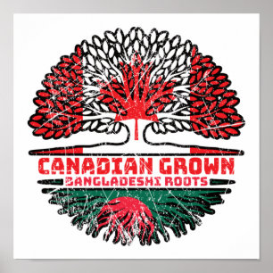 Poster Bangladesh Bangladesh Canadian Canada Tree Roots