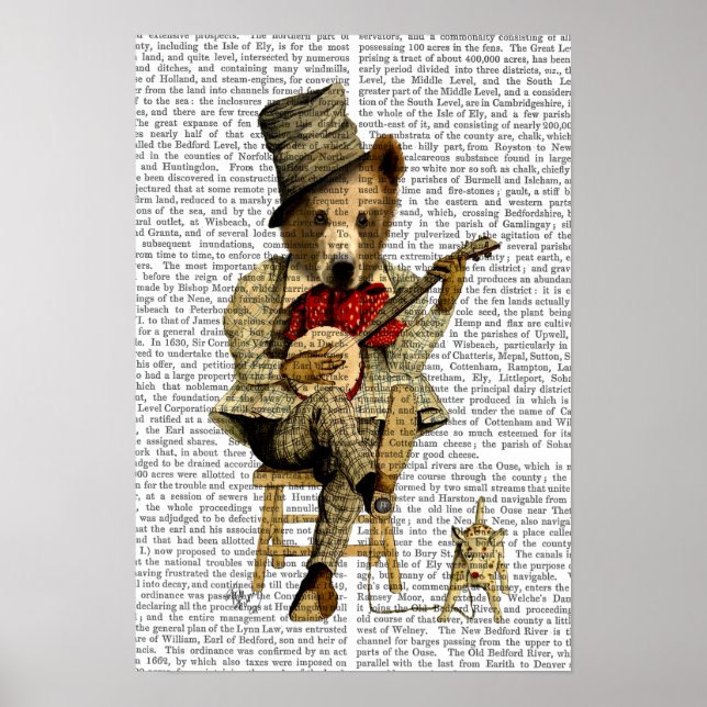 Poster Banjo Bear (Devant)
