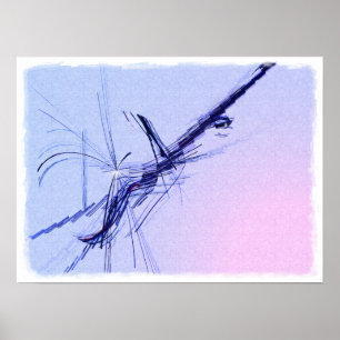 Poster Banjo en C Major